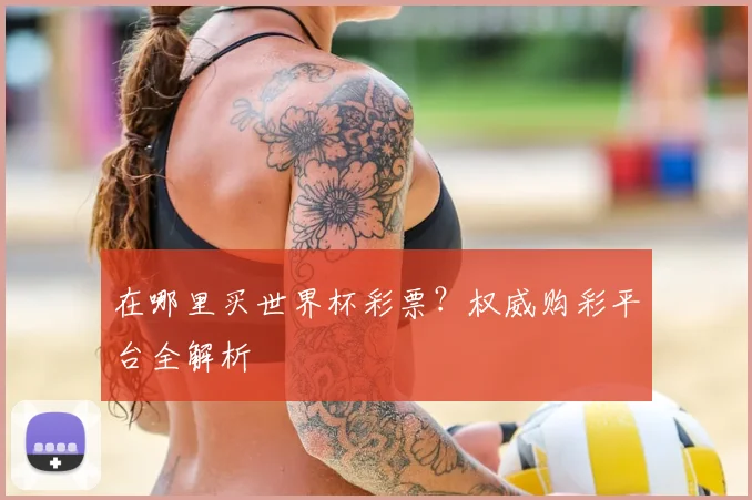 在哪里买世界杯彩票？权威购彩平台全解析