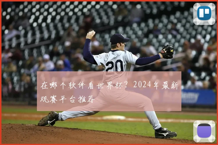 在哪个软件看世界杯？2024年最新观赛平台推荐