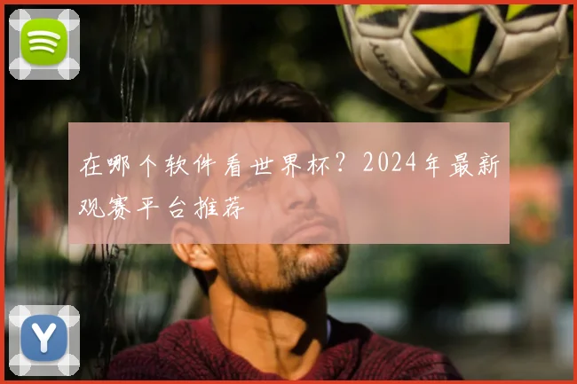 在哪个软件看世界杯？2024年最新观赛平台推荐