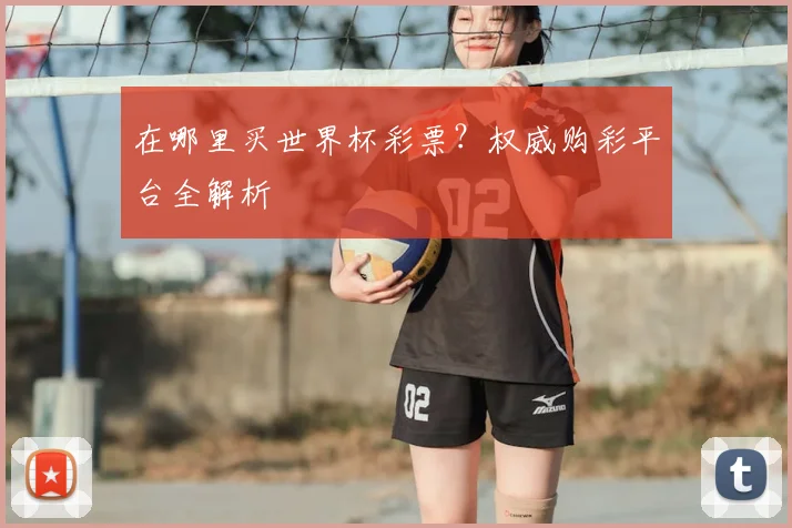 在哪里买世界杯彩票？权威购彩平台全解析