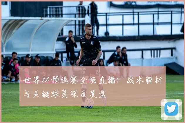 世界杯预选赛全场直播：战术解析与关键球员深度复盘