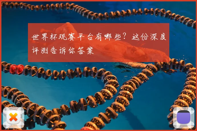 世界杯观赛平台有哪些？这份深度评测告诉你答案