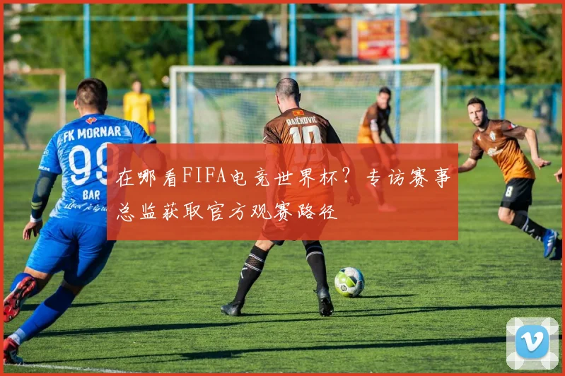 在哪看FIFA电竞世界杯？专访赛事总监获取官方观赛路径
