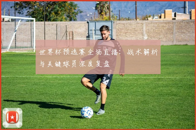 世界杯预选赛全场直播：战术解析与关键球员深度复盘