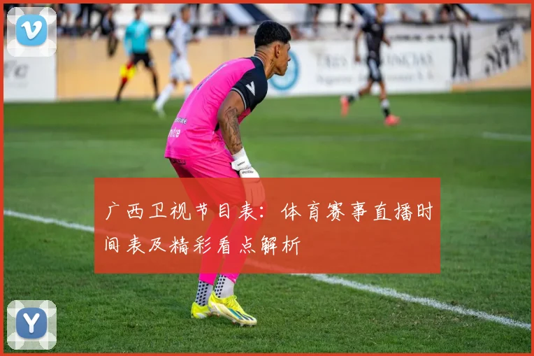 广西卫视节目表：体育赛事直播时间表及精彩看点解析